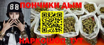 стаф Дубна