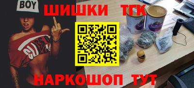 стаф Дубна