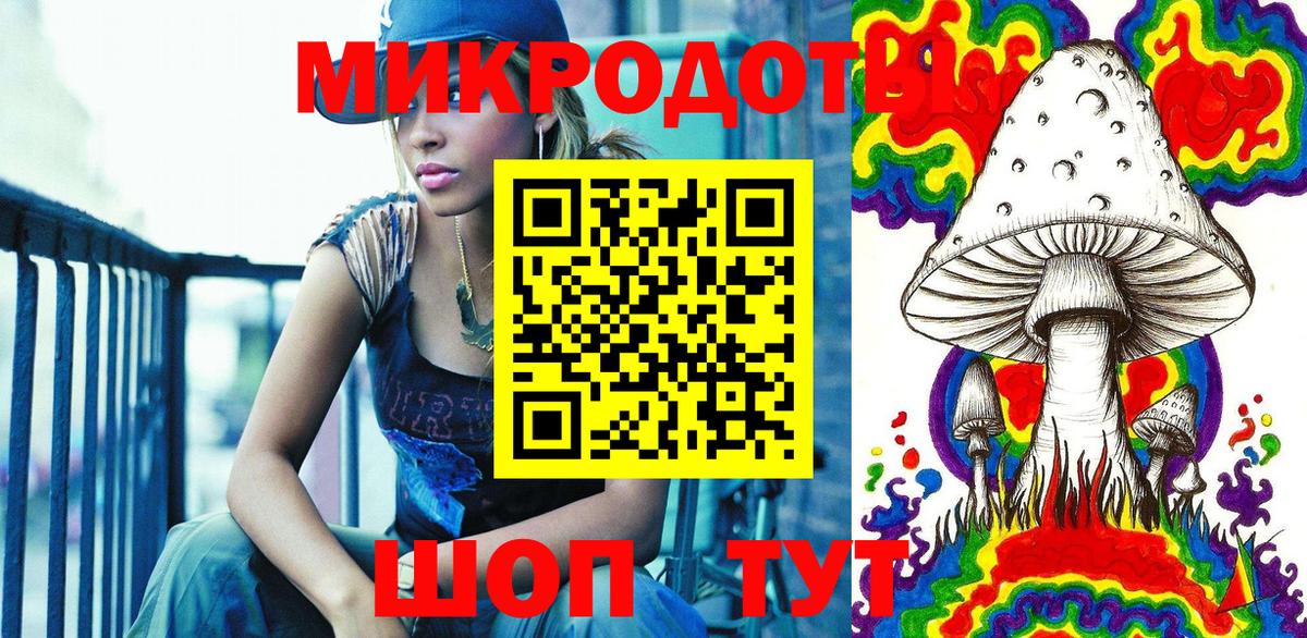 Галлюциногенные грибы Psilocybe Усть-Лабинск